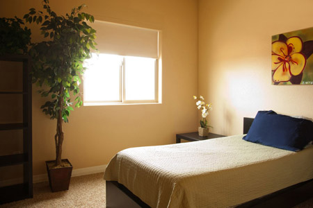Christian Drug Recovery Programs